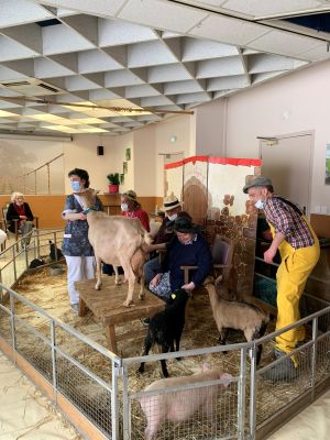 La ferme s'invite à l'EHPAD